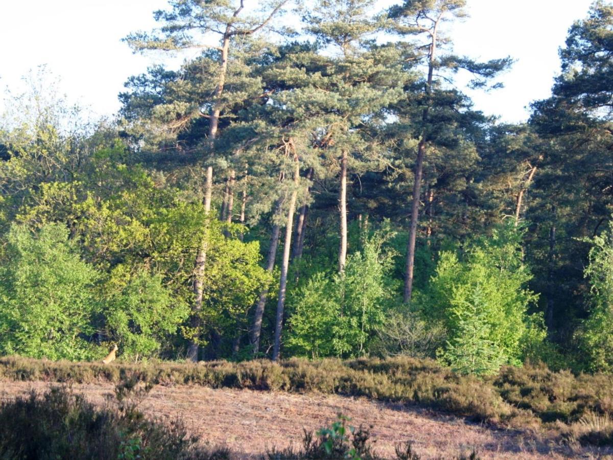 Cozy Home With Lots Of Privacy, In The Forest De Bult Buitenkant foto